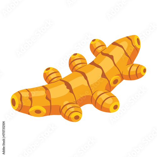Illustrated turmeric root with segments and bright orange-yellow hue – flat illustration