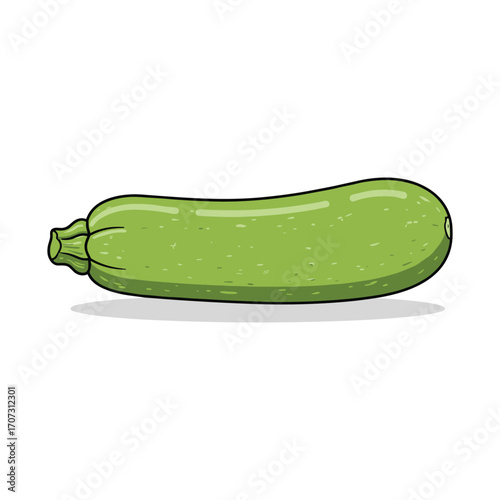 Fresh green zucchini illustration – flat illustration