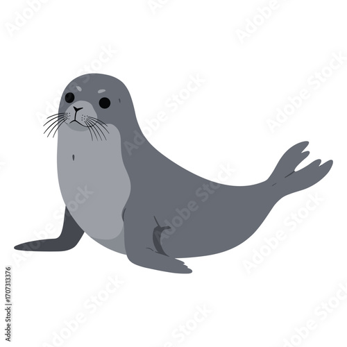 Illustration of a cute gray seal with whiskers on a – flat illustration
