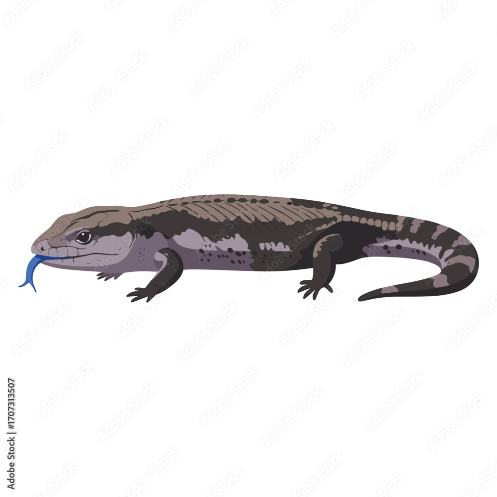 Fototapeta premium Illustration of a blue-tongued skink with detailed pattern and blue tongue – flat illustration