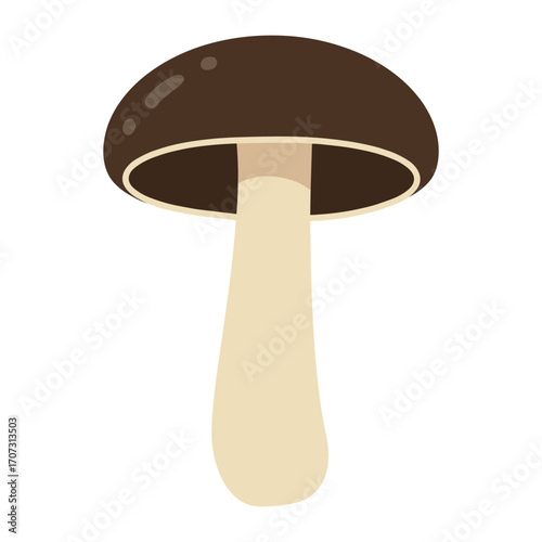 Illustration of a single brown mushroom with cap and stalk – flat illustration