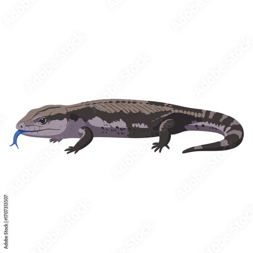 Illustration of a blue-tongued skink with detailed pattern and blue tongue – flat illustration