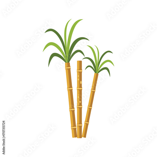 Three sugarcane stalks with green leaves – flat illustration