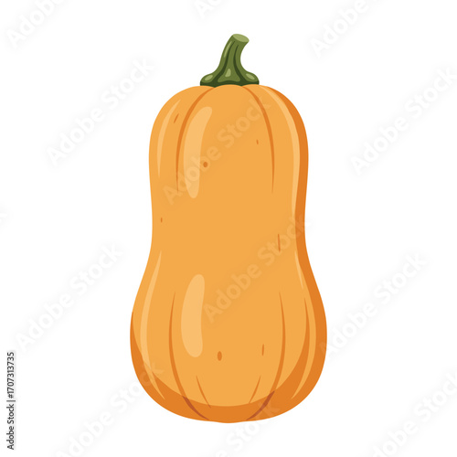 Illustration of a butternut squash with green stem – flat illustration