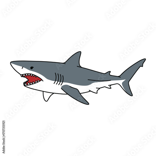 Cartoon great white shark with open mouth and sharp teeth – flat illustration