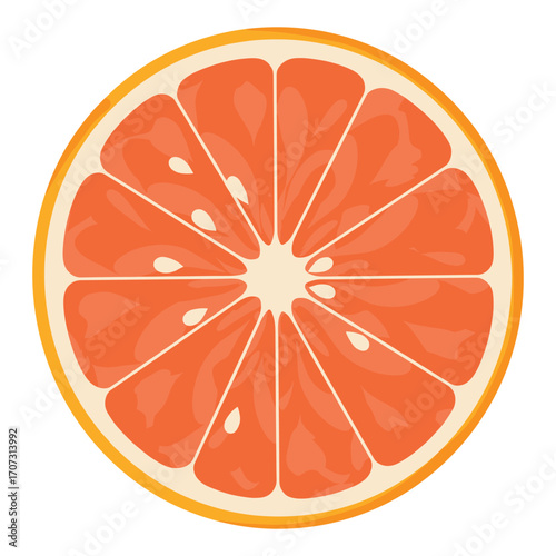 Juicy orange slice with vibrant segments – flat illustration