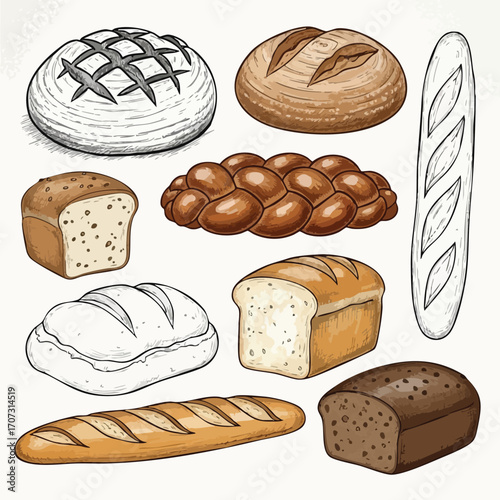 Variety of Freshly Baked Artisan Breads Sourdough Baguette and Loaves