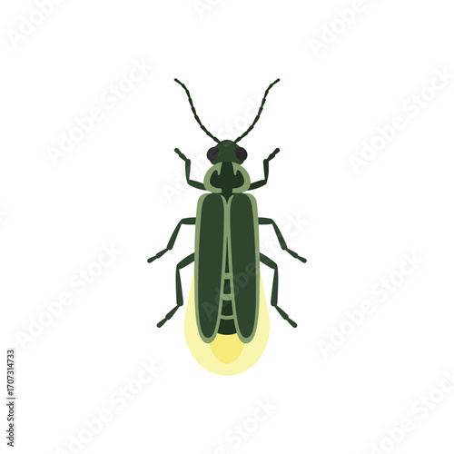 Detailed illustration of a glowing firefly with yellow luminescent abdomen – flat illustration