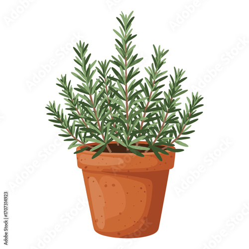 Green rosemary plant in terracotta pot – flat illustration