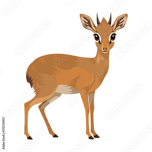 Cartoon illustration of a small deer with large ears and short antlers – flat illustration