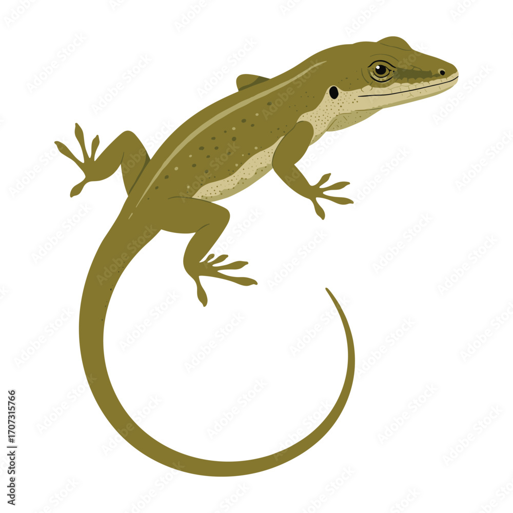 Fototapeta premium Green anole lizard illustration with curved tail – flat illustration