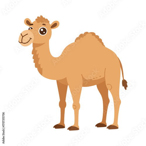 Cartoon camel with hump – flat illustration