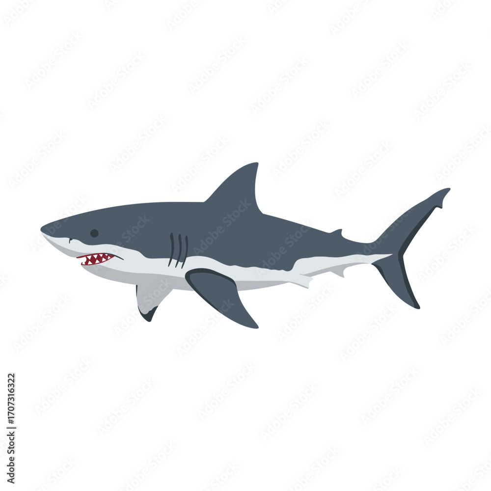 Fototapeta premium Great white shark illustration – flat illustration