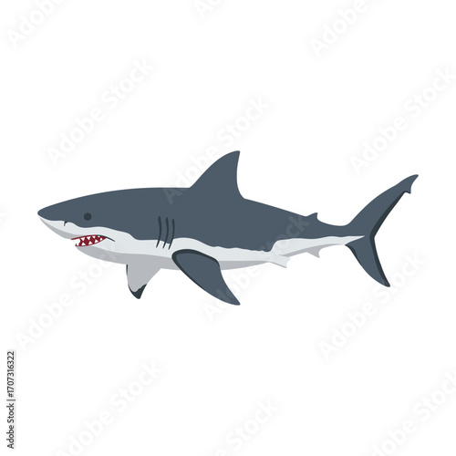 Great white shark illustration – flat illustration