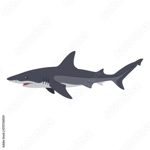 Illustration of a great white shark swimming in the ocean – flat illustration