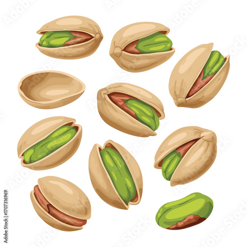 Assorted pistachios illustration with open shells – flat illustration