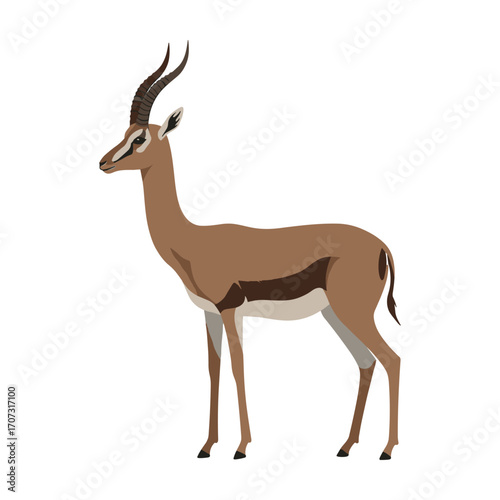 Elegant gazelle illustration with majestic horns – flat illustration