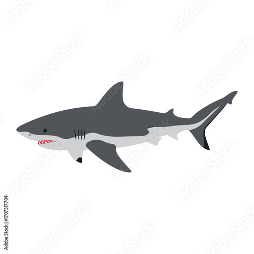 Great white shark illustration in profile view – flat illustration