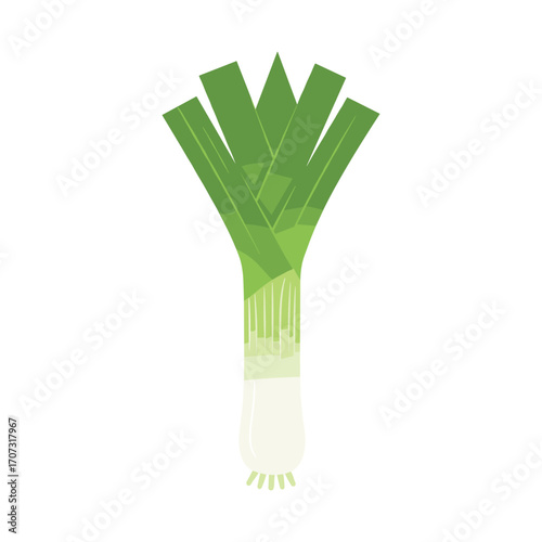 Green leek vector illustration on white background: fresh vegetable art – flat illustration