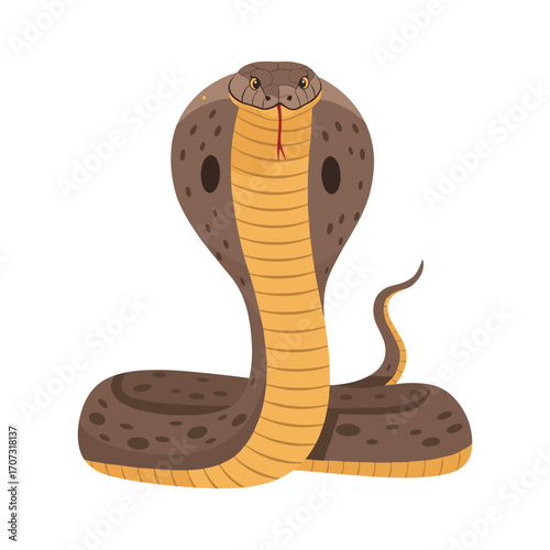 Illustration of a king cobra with raised hood on a – flat illustration