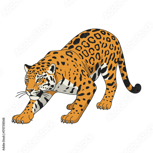 Illustrated jaguar in hunting stance – flat illustration