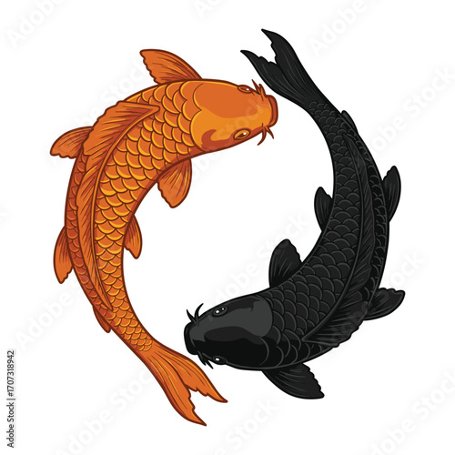 Yin yang koi fish illustration in harmony and balance – flat illustration