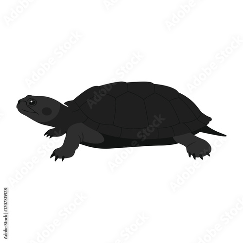 Illustration of a black turtle on a – flat illustration