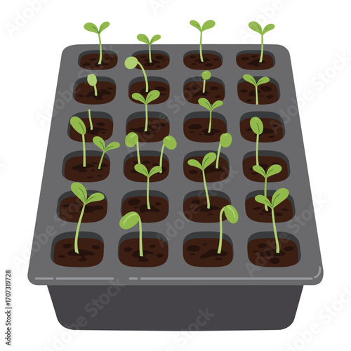 Tray of seedlings sprouting in individual compartments – flat illustration