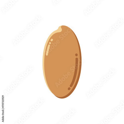 Detailed illustration of a single brown seed with glossy surface – flat illustration