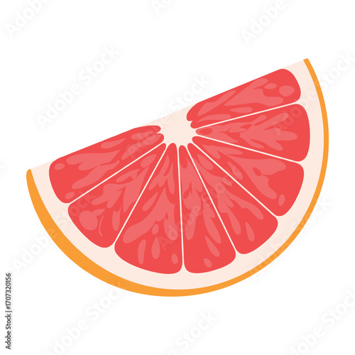 Colorful grapefruit slice illustration – flat illustration
