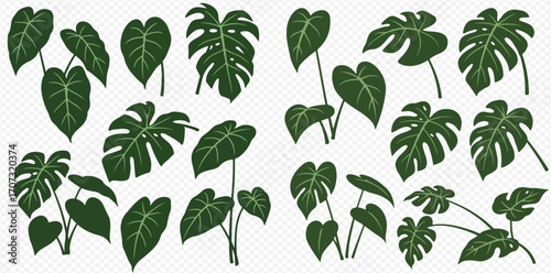 A diverse collection of various tropical green leaves and small plants, featuring heart-shaped and deeply lobed varieties, set against a transparent background.