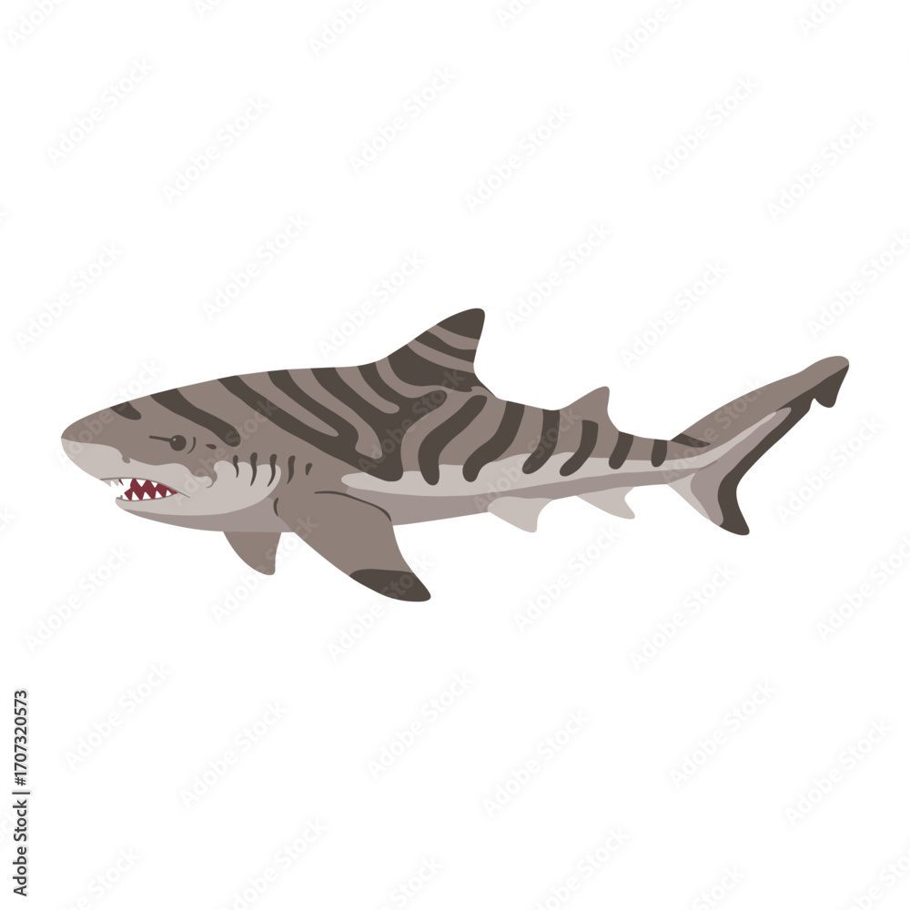Fototapeta premium Illustration of a tiger shark – flat illustration
