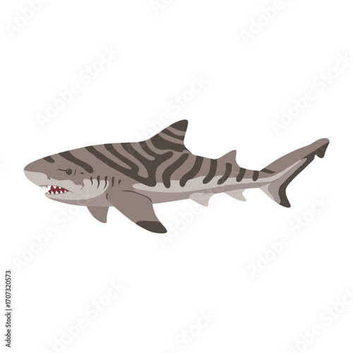 Illustration of a tiger shark – flat illustration
