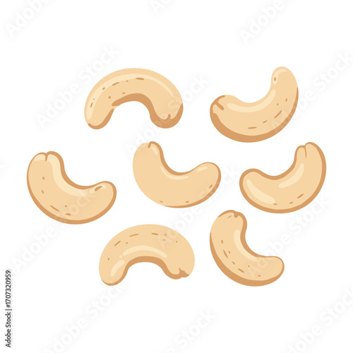 Assorted raw cashew nuts – flat illustration