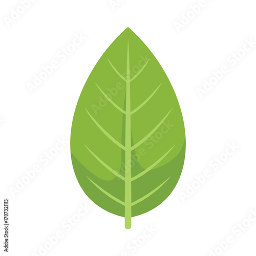 Green leaf icon with simple design and symmetric veins – flat illustration