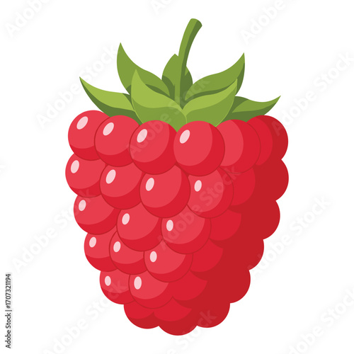 Colorful raspberry illustration with green leaves and detailed texture – flat illustration