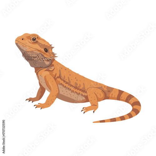 Bearded dragon illustration in side view with detailed features – flat illustration