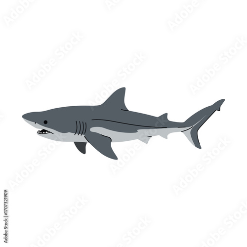 Great white shark illustration in profile – flat illustration