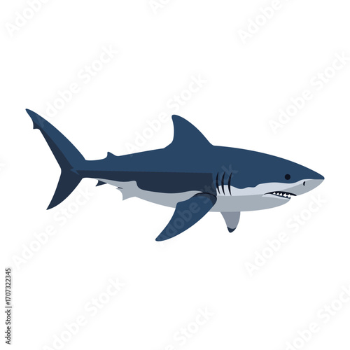 Great white shark illustration – flat illustration