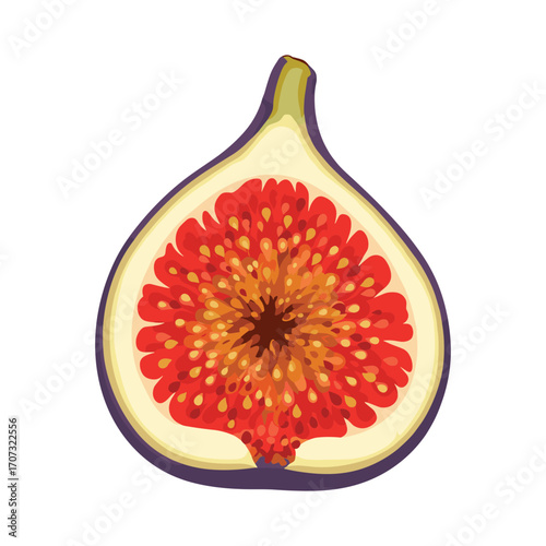 Cross section of fresh fig with vibrant red interior and seeds – flat illustration