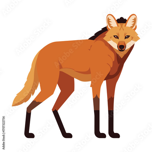Illustration of a maned wolf standing against a – flat illustration