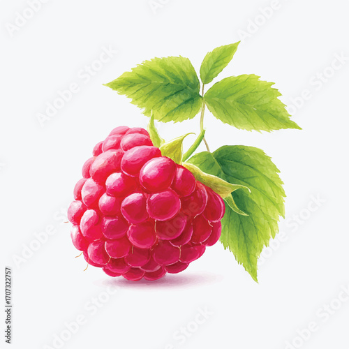 Vibrant Raspberry with Green Leaves A CloseUp of Freshness and Flavor.