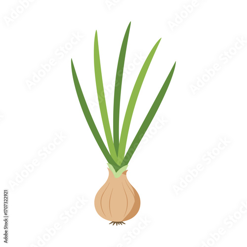 Fresh green onion with long green stalks – flat illustration