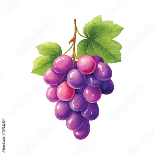 Vibrant Watercolor Illustration of a Bunch of Purple Grapes with Green Leaves.