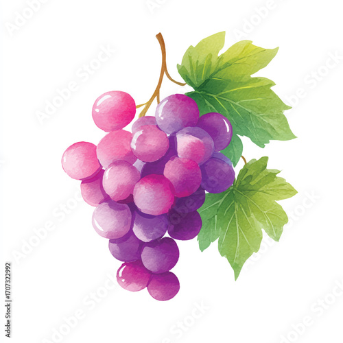 Vibrant watercolor illustration of a fresh bunch of purple grapes with green leaves.