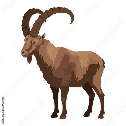 Majestic brown wild goat with curved horns standing – flat illustration