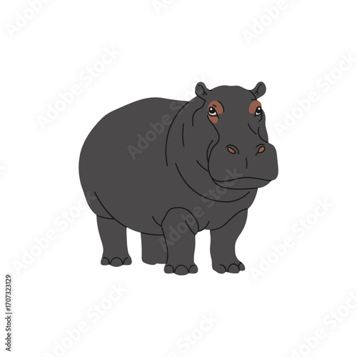 Cartoon hippo illustration – flat illustration