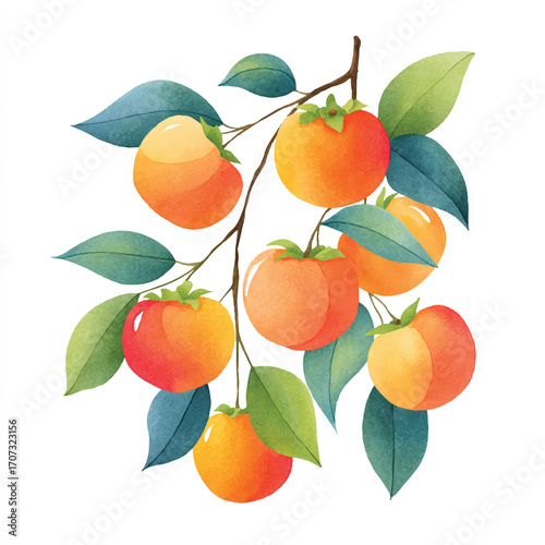 Vibrant Watercolor Illustration of Ripe Persimmons on a Branch with Green Leaves.