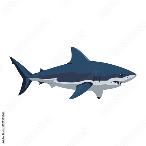 Cartoon great white shark illustration in profile – flat illustration