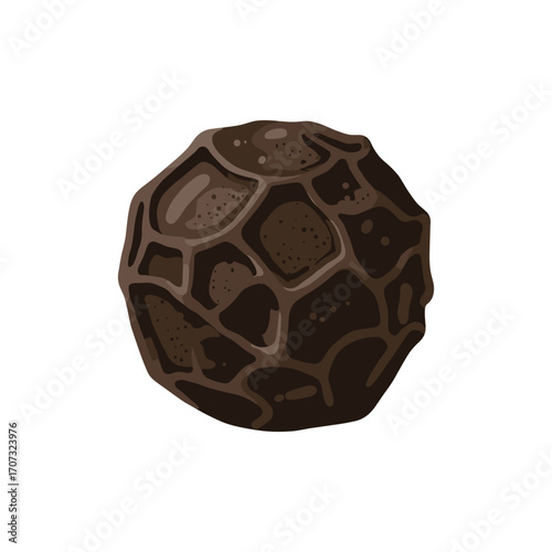 Black peppercorn illustration – flat illustration